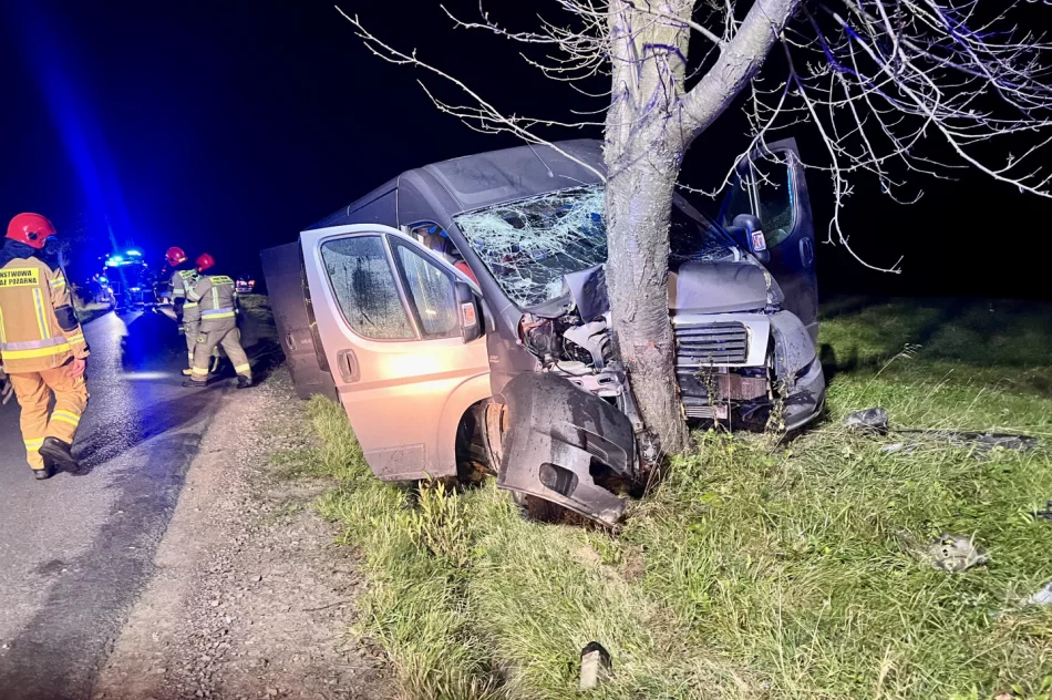 Samochód dostawczy rozbił się na drzewie - zdjęcie 3