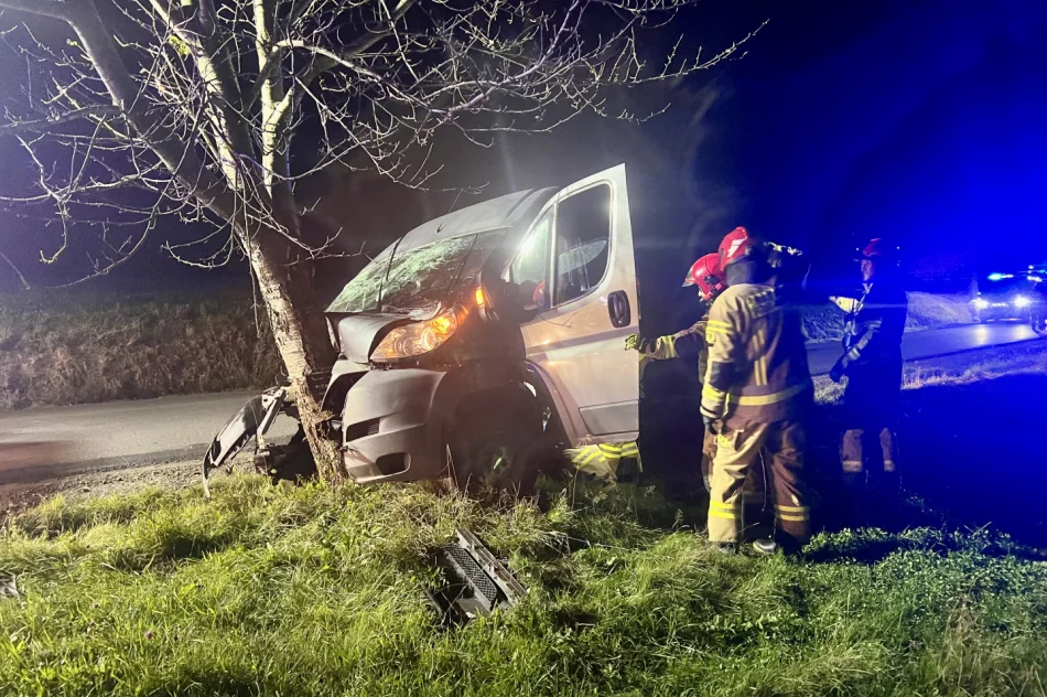 Samochód dostawczy rozbił się na drzewie - zdjęcie 5