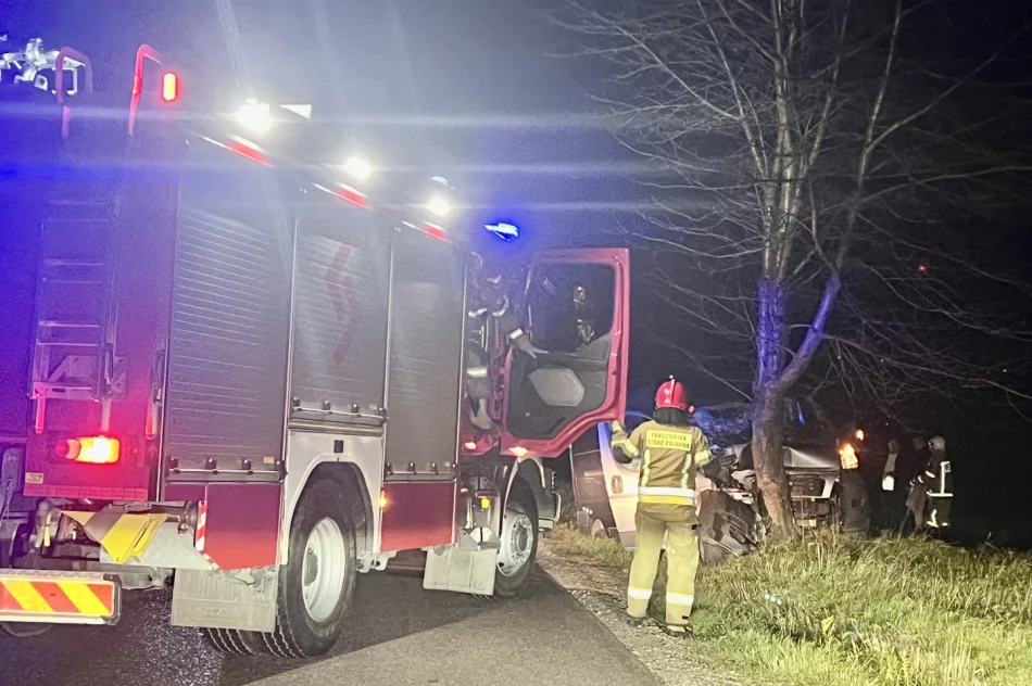 Samochód dostawczy rozbił się na drzewie - zdjęcie 6
