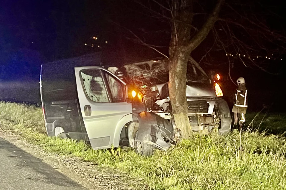 Samochód dostawczy rozbił się na drzewie - zdjęcie 7