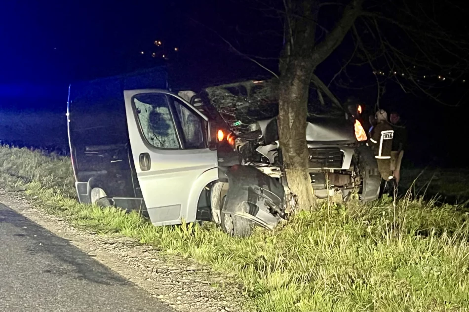 Samochód dostawczy rozbił się na drzewie - zdjęcie 8