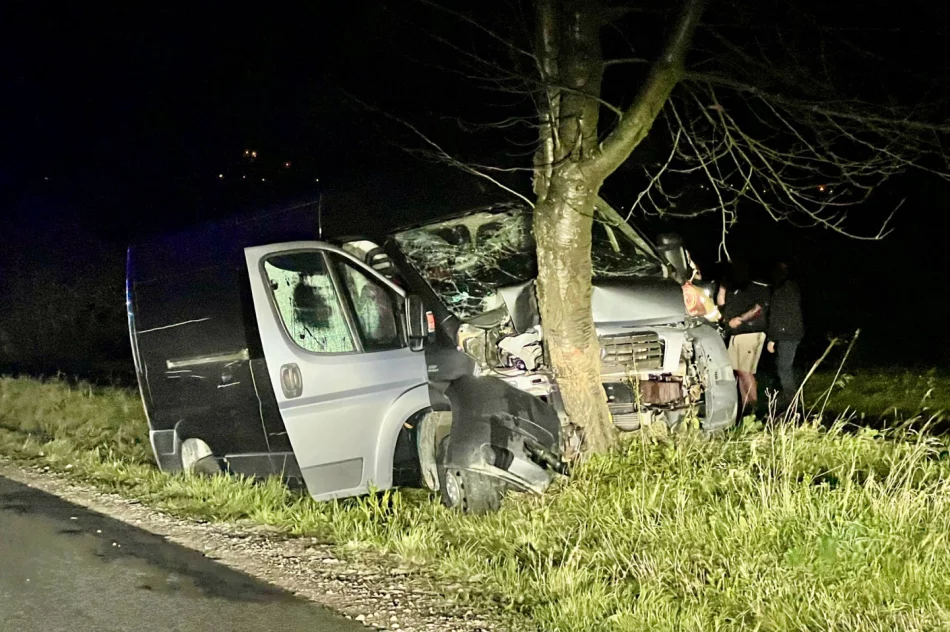 Samochód dostawczy rozbił się na drzewie - zdjęcie 9