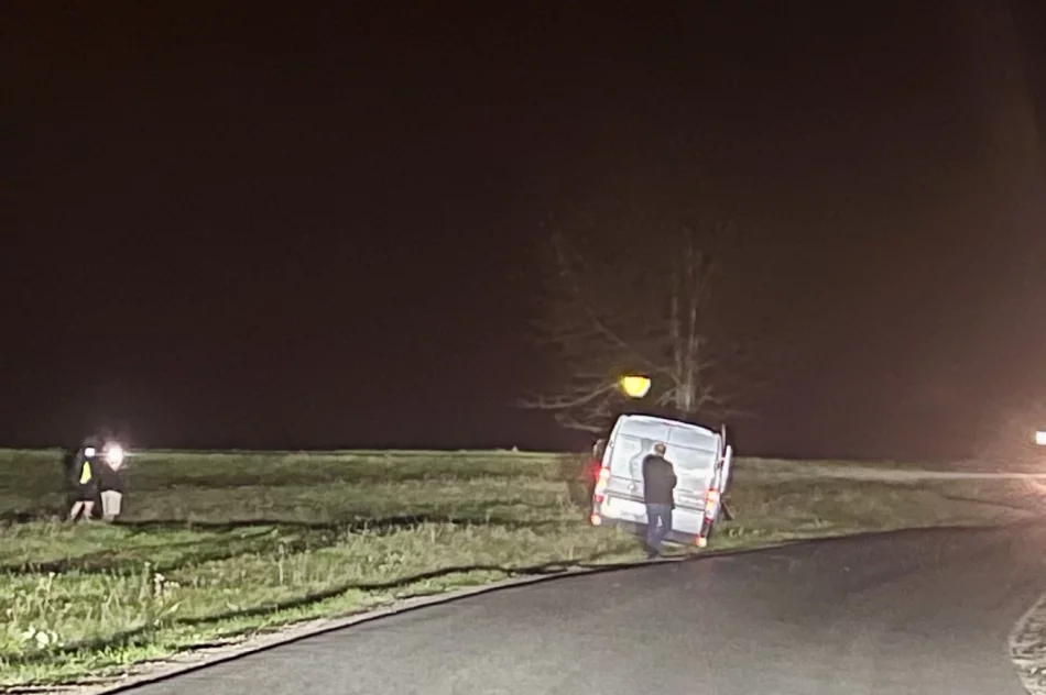 Samochód dostawczy rozbił się na drzewie - zdjęcie 10