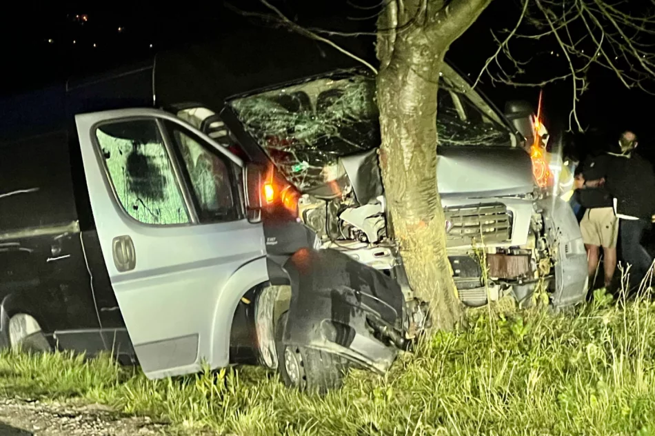 Samochód dostawczy rozbił się na drzewie - zdjęcie 11