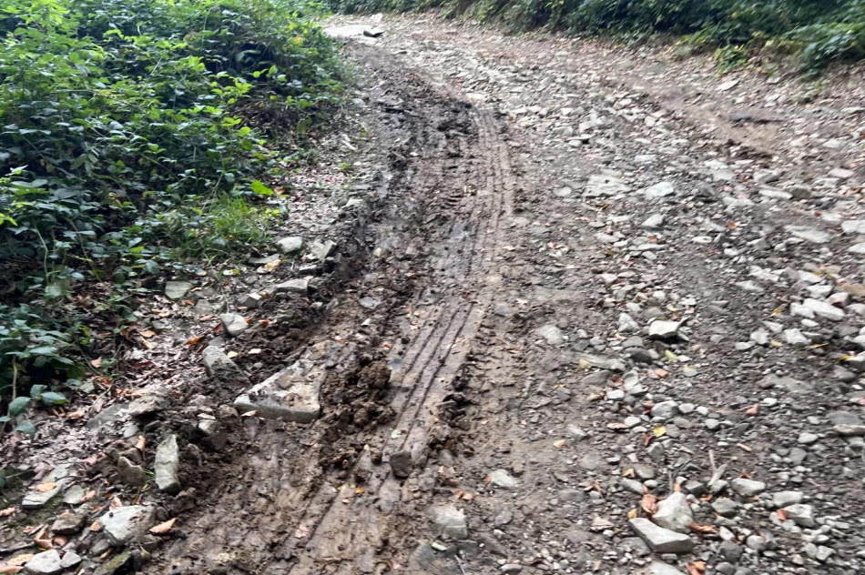 Mogielica znów w zabudowie. Czerwona kartka dla państwa - zdjęcie 11