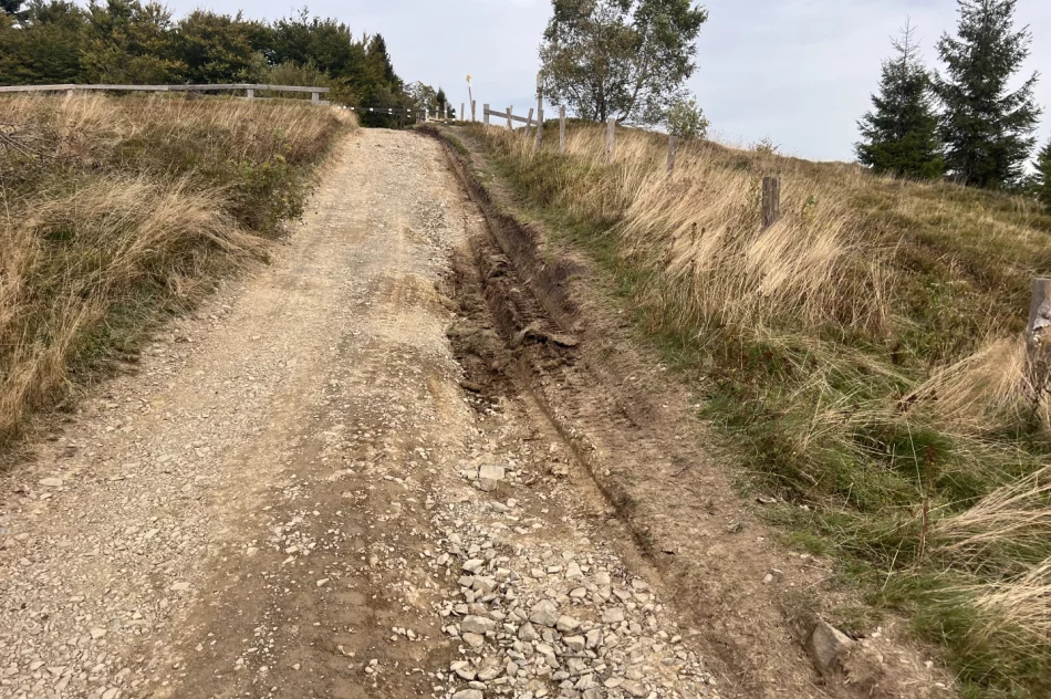 Mogielica znów w zabudowie. Czerwona kartka dla państwa - zdjęcie 12