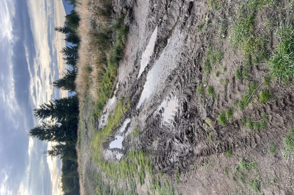 Mogielica znów w zabudowie. Czerwona kartka dla państwa - zdjęcie 13