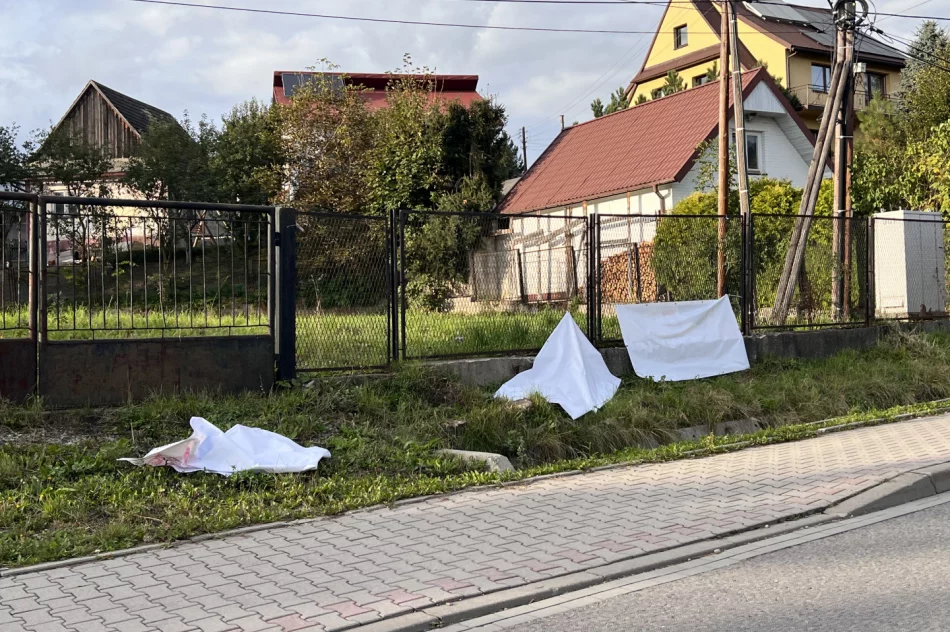 Wybory 2023: trwa walka na niszczenie bannerów - zdjęcie 8