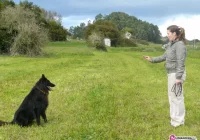 W sobotę mistrzostwa w Ujanowicach - zdjęcie główne