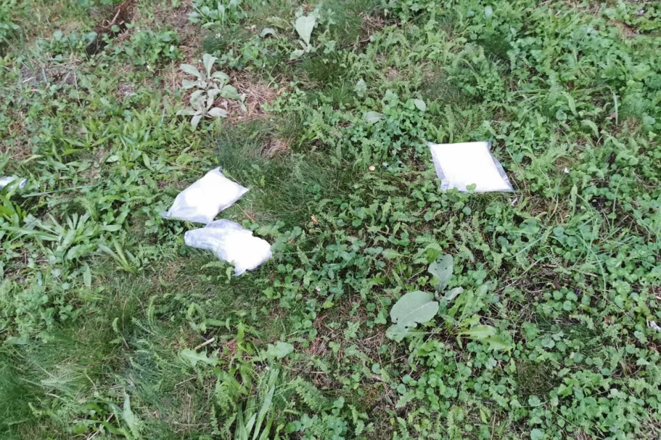 Rozbita grupa handlująca narkotykami – zatrzymanych siedem osób - zdjęcie 2