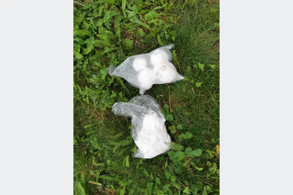 Rozbita grupa handlująca narkotykami – zatrzymanych siedem osób - zdjęcie 3