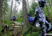 Quadami po GPN. Wysokie mandaty - zdjęcie główne