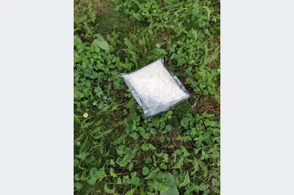 Rozbita grupa handlująca narkotykami – zatrzymanych siedem osób - zdjęcie 6