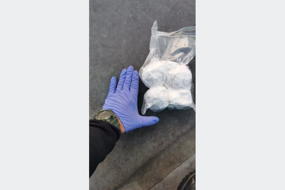 Rozbita grupa handlująca narkotykami – zatrzymanych siedem osób - zdjęcie 9