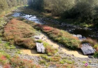 Bez wody już 863 gospodarstwa - zdjęcie główne