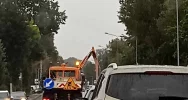 Duże korki w Limanowej - powodem… koszenie - zdjęcie 4
