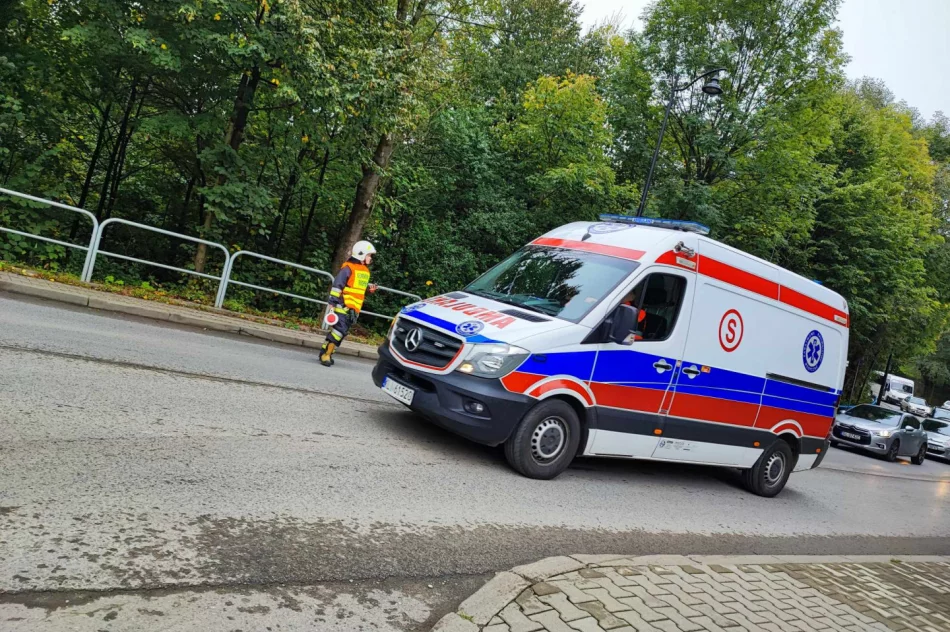 Zderzenie pojazdów na drodze powiatowej - zdjęcie 9