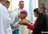 Potrzeba wrażliwości, czułości, troski - zdjęcie główne