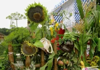 Prezentacja na „Sułkowickiej Jesieni” - zdjęcie główne