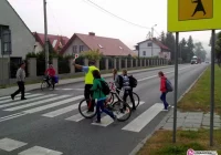 Bezpieczna droga do szkoły - zdjęcie główne