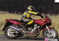 Kot powodem przewrócenia się motocyklisty - zdjęcie główne