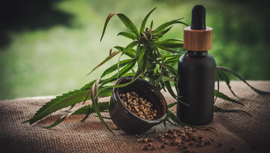 Medyczna marihuana - tylko na receptę? - zdjęcie 1