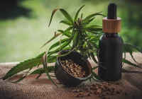 Medyczna marihuana - tylko na receptę? - zdjęcie główne