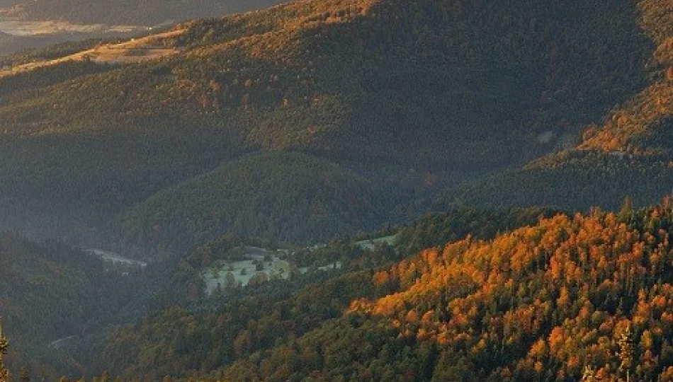 Siedem cudów regionu - zdjęcie 1