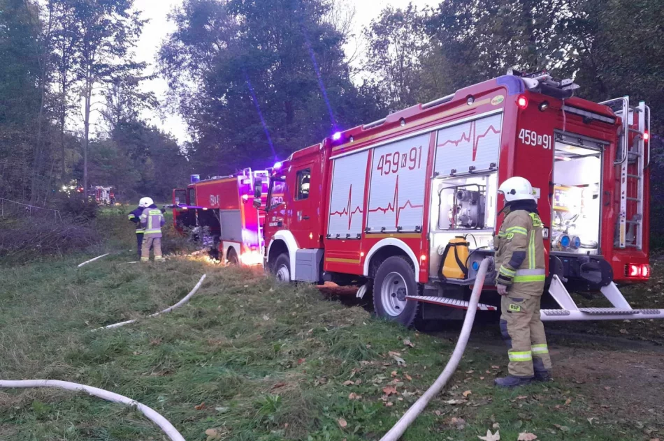 Pożar domku letniskowego - zdjęcie 3