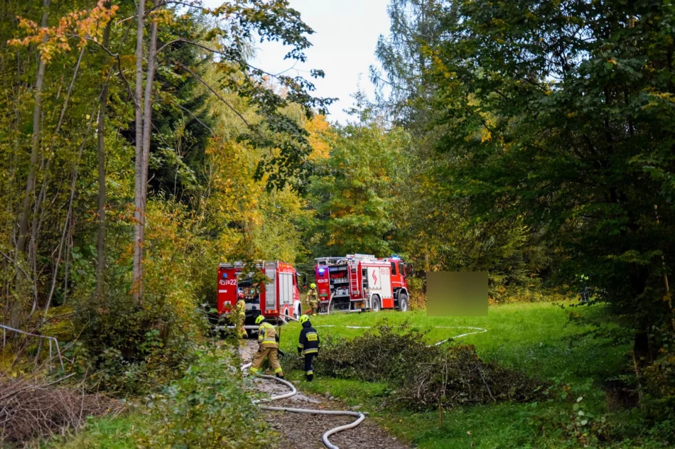 Pożar domku letniskowego - zdjęcie 7