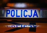 Kierująca Audi uderzyła w ogrodzenie - zdjęcie główne