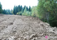 Nielegalne prace w Parku Narodowym? - zdjęcie główne