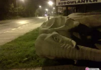 Przewrócili słonia - zdjęcie główne