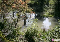 Zwłoki odnalezione w małym zbiorniku wodnym - zdjęcie główne