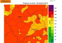 Zanieczyszczenie ozonem przez trzy dni - zdjęcie główne