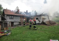 Rusza akcja pomocy. Wrócą w listopadzie? - zdjęcie główne