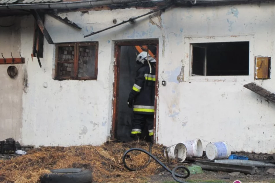 Rodzina straciła dom. Zasłabł strażak - zdjęcie 2