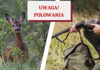 Plan polowań w roku łowieckim 2023/2024 - zdjęcie główne