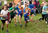 4 medale dla zawodników Klubu „Limanowa Forrest” na Grand Prix w biegach przełajowych w Nowym Wiśniczu - zdjęcie główne