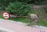 Wracali z imprezy...wyrywali znaki - zdjęcie główne