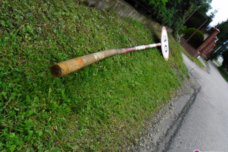 Wracali z imprezy...wyrywali znaki - zdjęcie 2