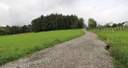Przebudowa dróg wewnętrznych - zdjęcie 3