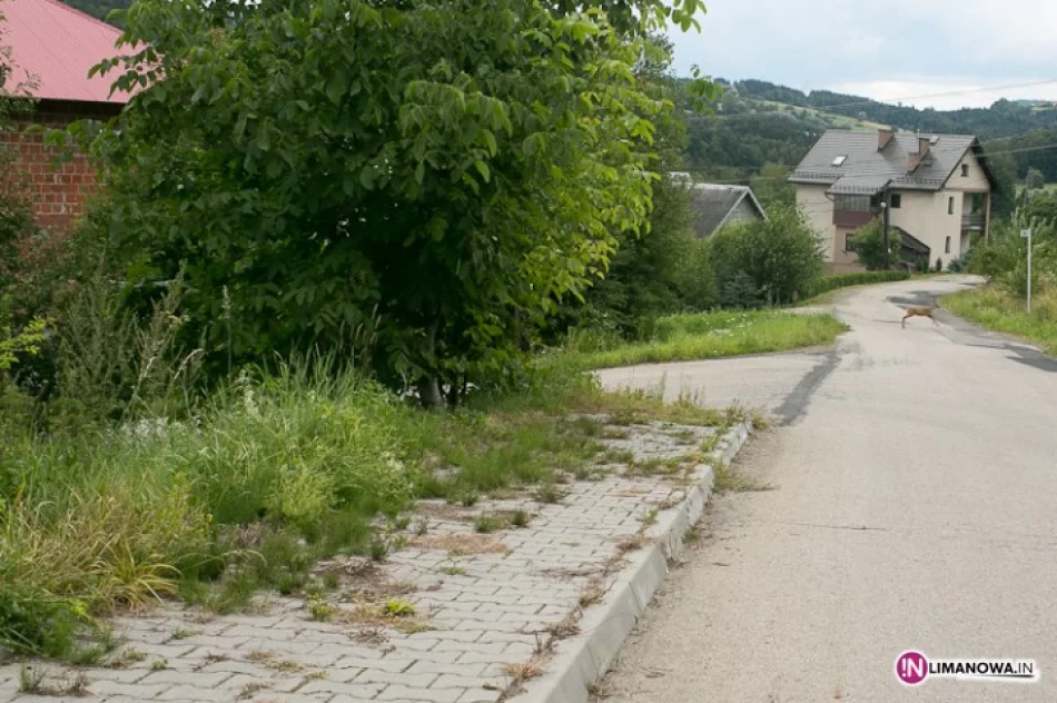 Fotointerwencja: 'Wyrzucone pieniądze' - zdjęcie 2