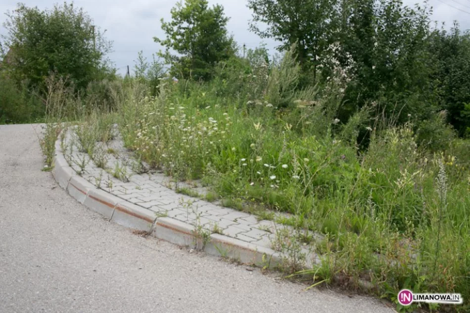 Fotointerwencja: 'Wyrzucone pieniądze' - zdjęcie 3