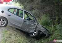 Otarli się o drzewa. Jedna osoba w szpitalu - zdjęcie główne