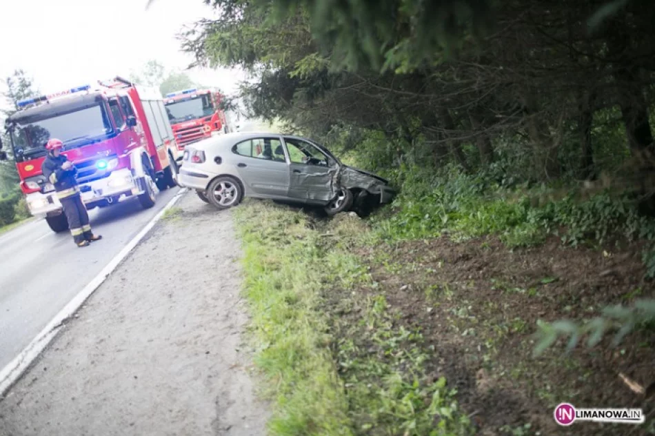 Otarli się o drzewa. Jedna osoba w szpitalu - zdjęcie 2