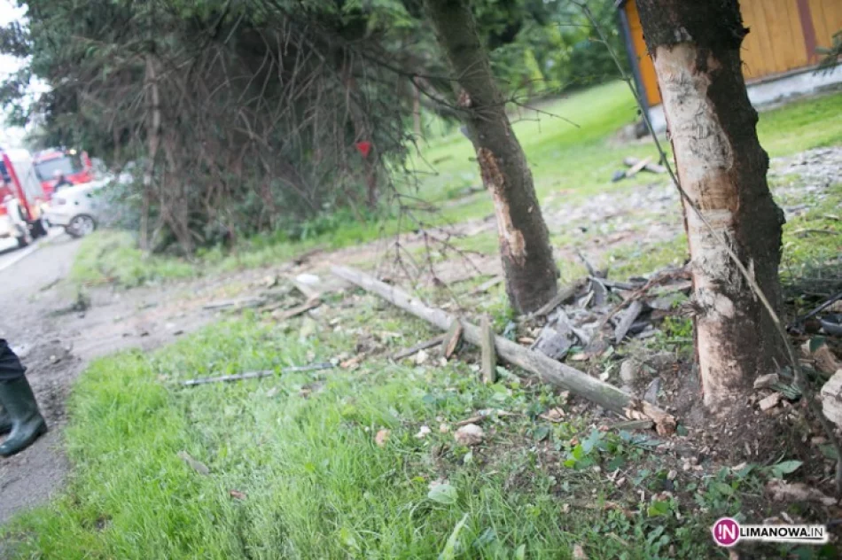 Otarli się o drzewa. Jedna osoba w szpitalu - zdjęcie 3