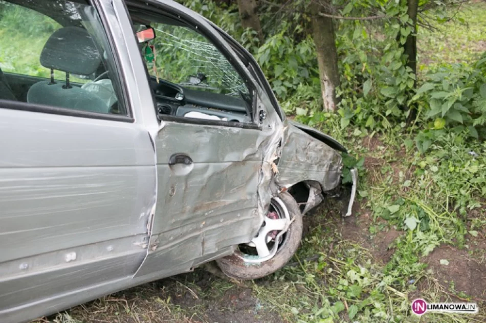 Otarli się o drzewa. Jedna osoba w szpitalu - zdjęcie 4