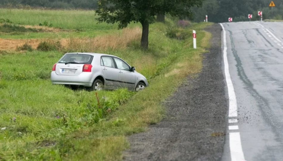 Toyota wypadła z drogi - zdjęcie 1