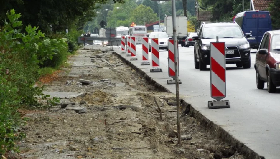 To nie budowa ekranów - zdjęcie 1